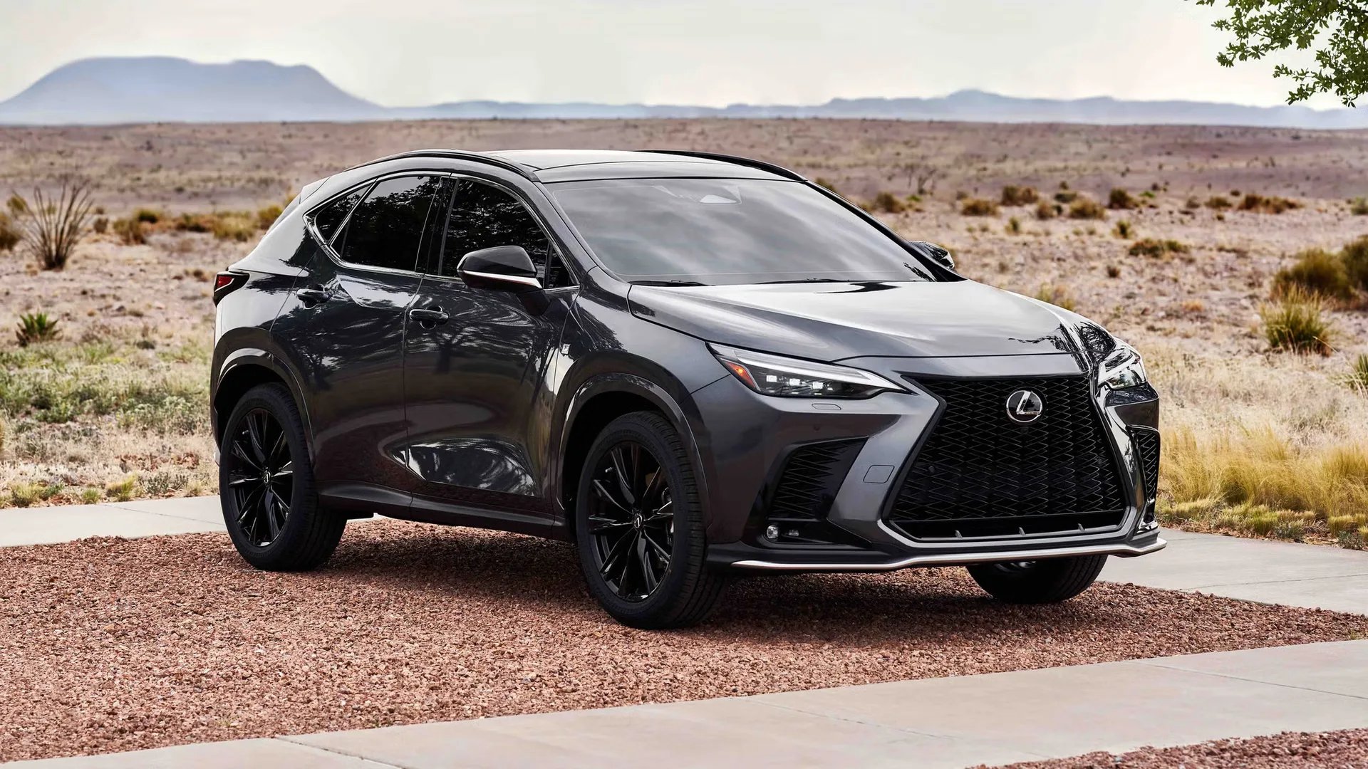 Lexus NX350